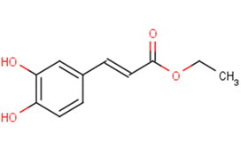 Ethyl Caffeate图片