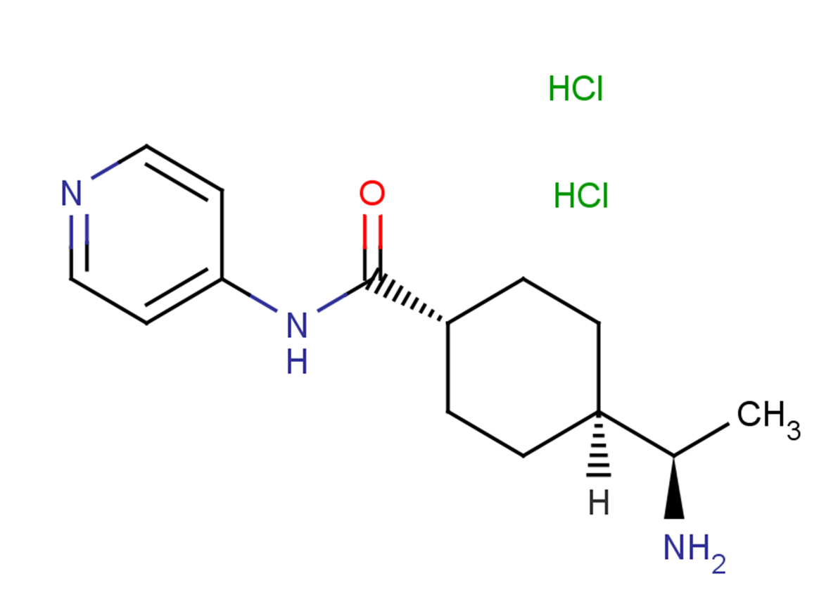 Y-27632 dihydrochloride图片