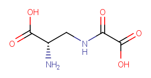 dencichine图片