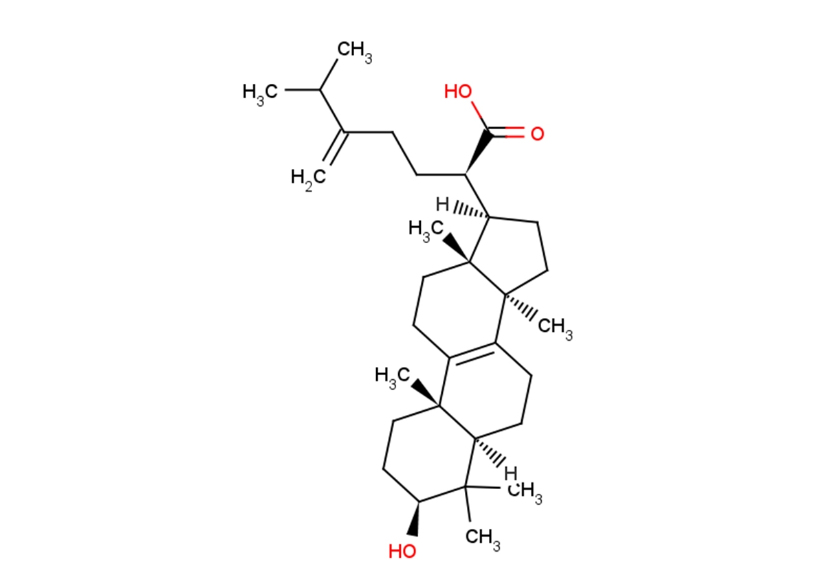 Eburicoic acid图片