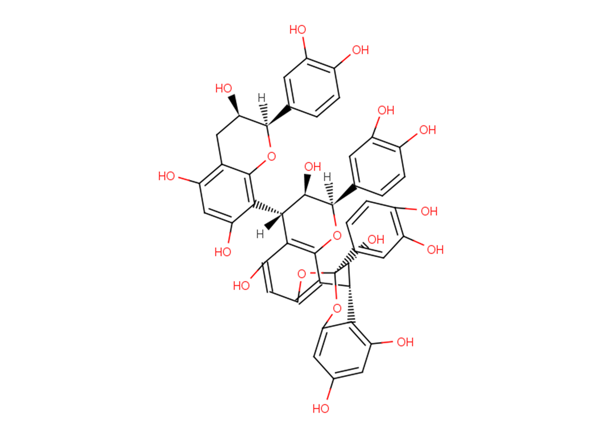 Cinnamtannin B-1图片