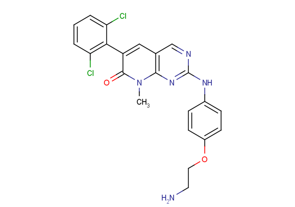 PP58图片