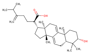 Dehydrotrametenolic acid图片