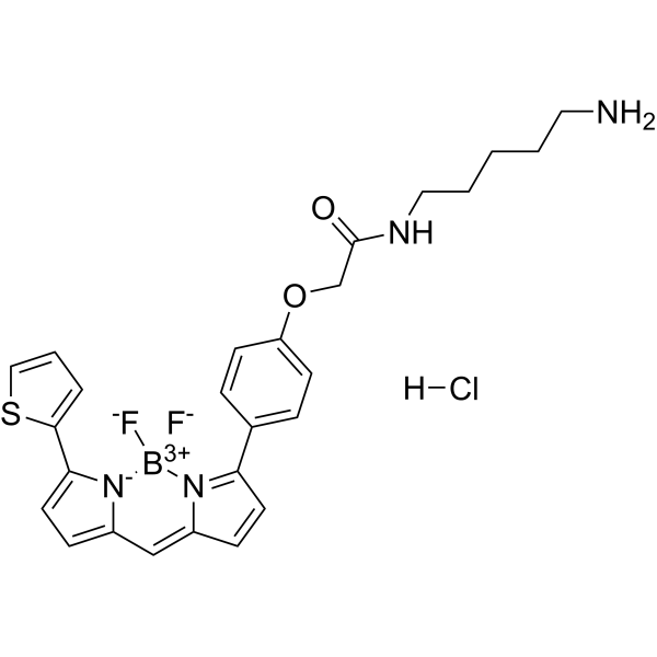 BODIPY TR Cadaverine图片