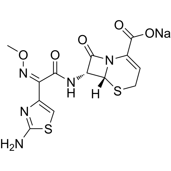 Ceftizoxime sodium图片