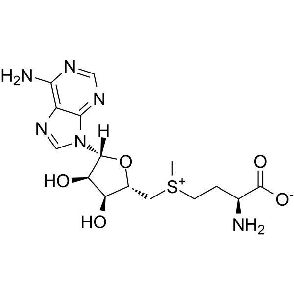 S-Adenosyl-L-methionine图片