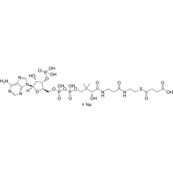 Succinyl-Coenzyme A sodium图片