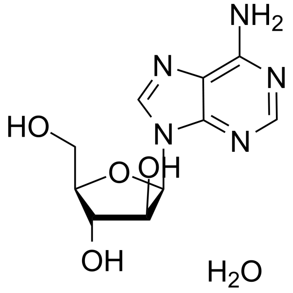 Vidarabine monohydrate图片