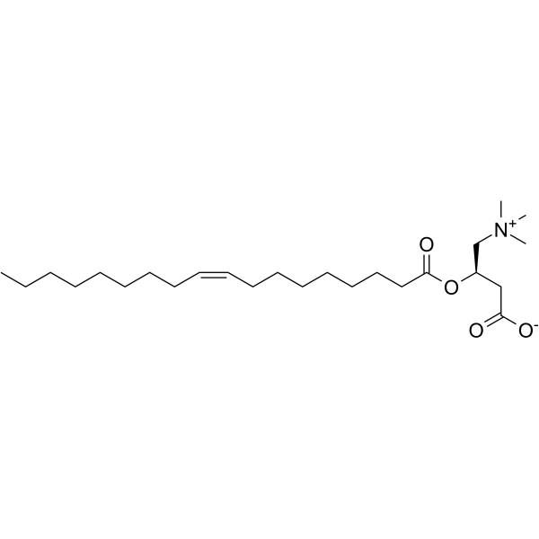 Oleoylcarnitine图片