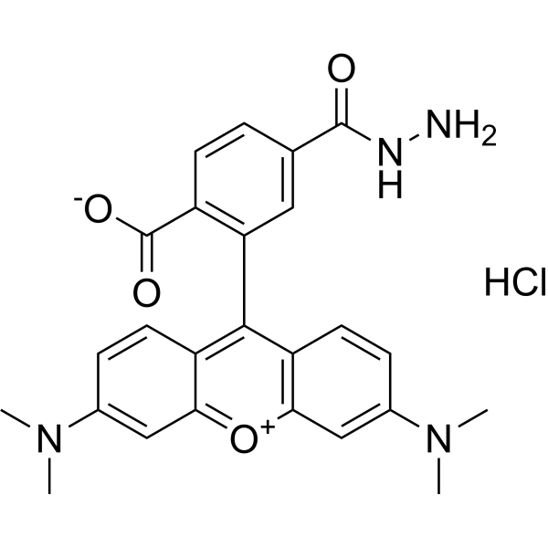 TAMRA hydrazide(6-isomer)图片