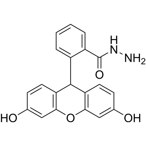 Fluorescein hydrazide图片