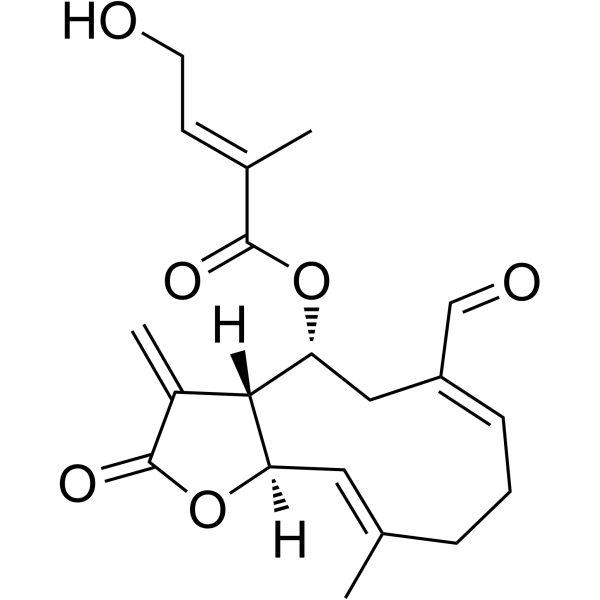 Eupahualin C图片