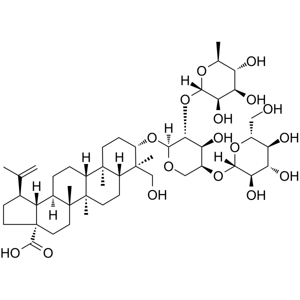 Lup-20(29)-en-28-oic acid图片