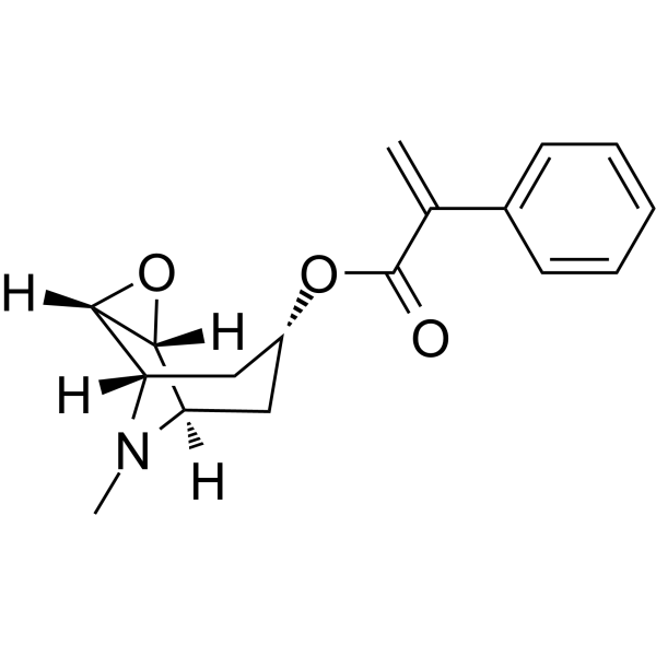 Aposcopolamine图片