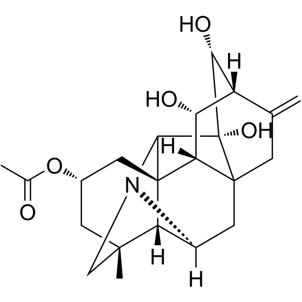 Guanfu base I图片