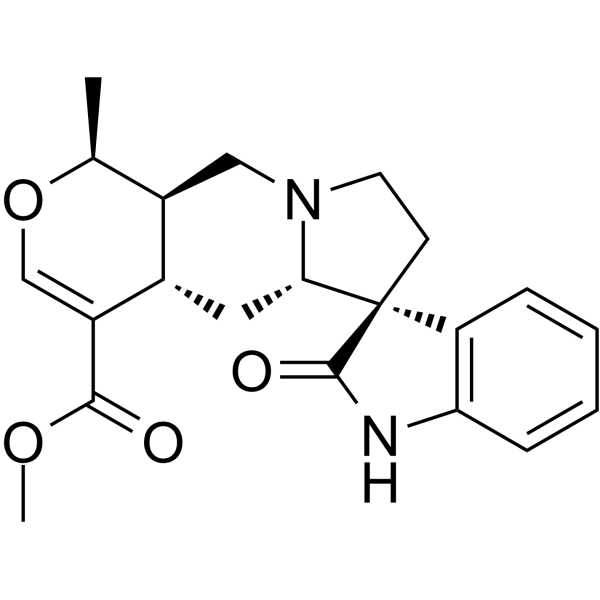 Isomitraphylline图片