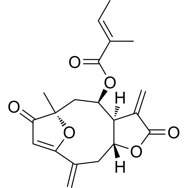Isoatriplicolide tiglate图片