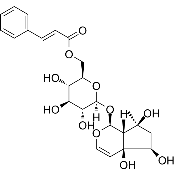 6'-O-Cinnamoyl harpagide图片