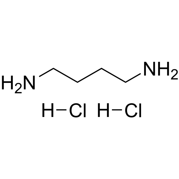 1,4-Diaminobutane dihydrochloride图片