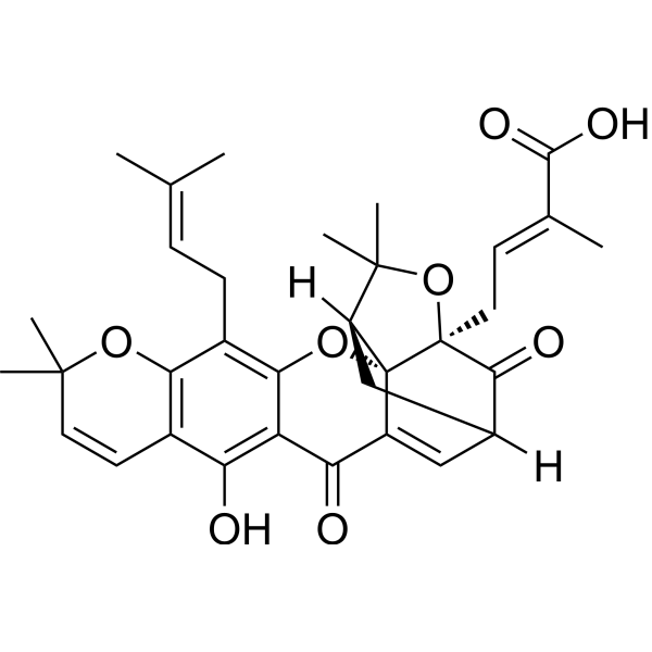 Isomorellic acid图片
