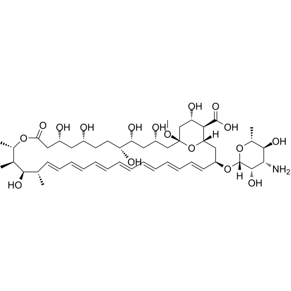 Amphotericin X1图片