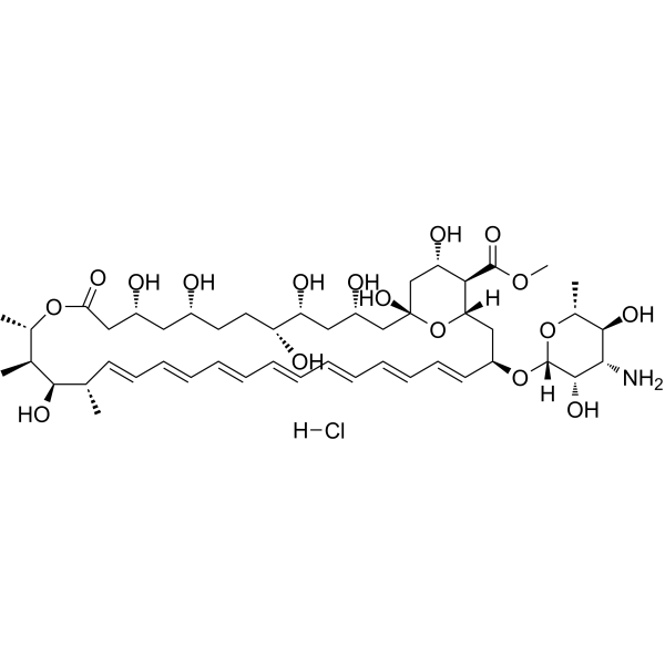 Amphotericin B methyl ester hydrochloride图片