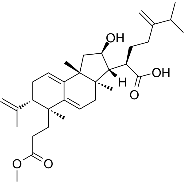 Poricoic acid AM图片