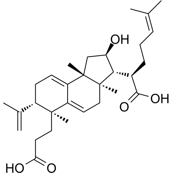 Poricoic acid B图片
