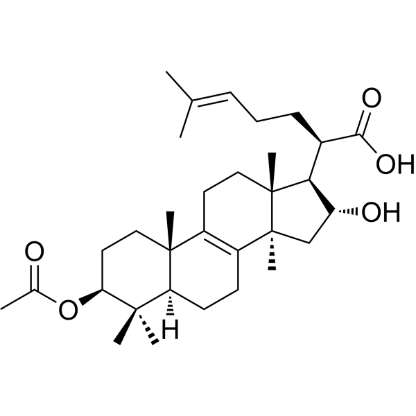3-O-Acetyl-16α-hydroxytrametenolic acid图片