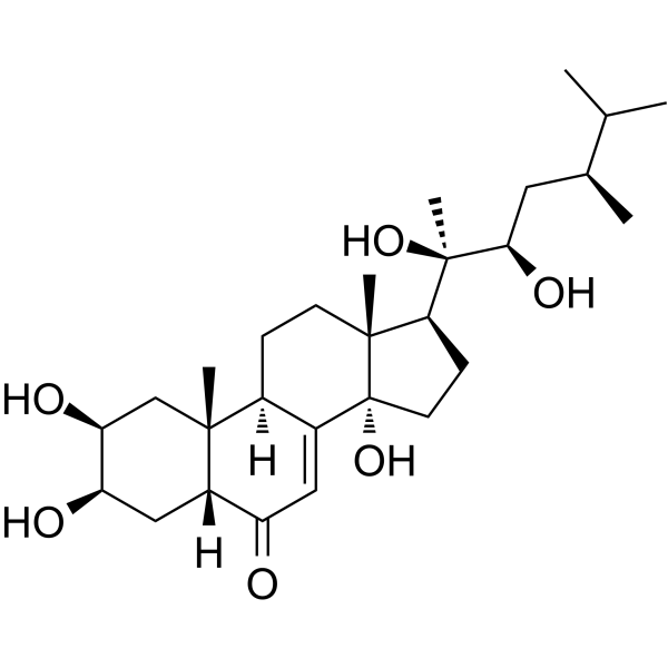 Polyporusterone A图片