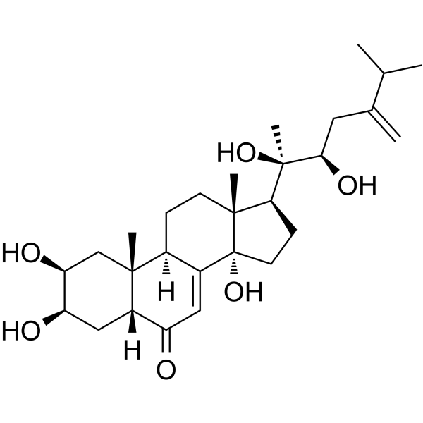 Polyporusterone B图片