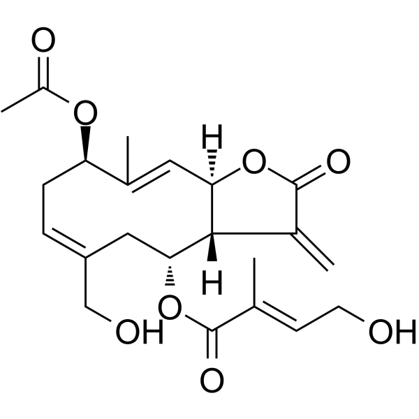 Eupalinolide H图片