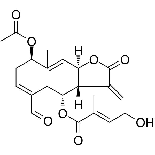 Eupalinolide O图片