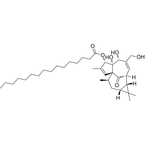 Ingenol-3-palmitate图片