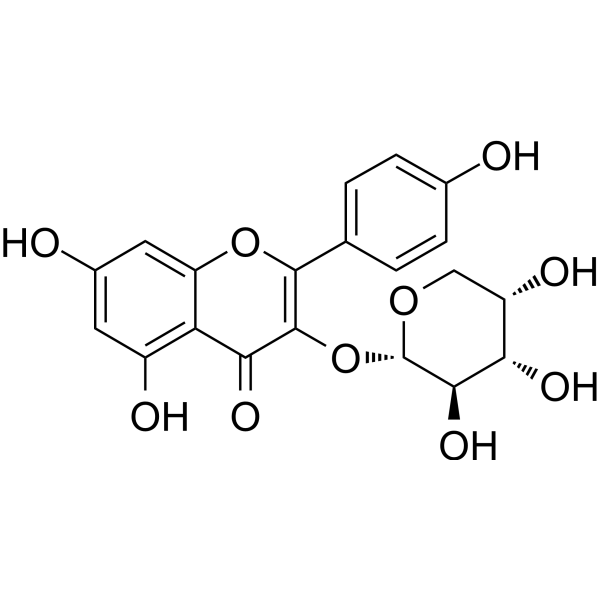 Kaempferol 3-O-arabinoside图片
