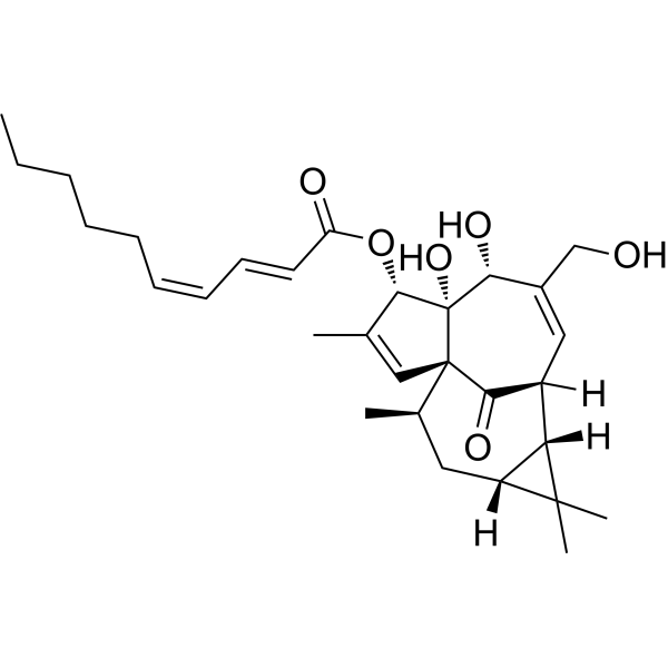 3-O-(2'E,4'Z-Decadienoyl)ingenol图片