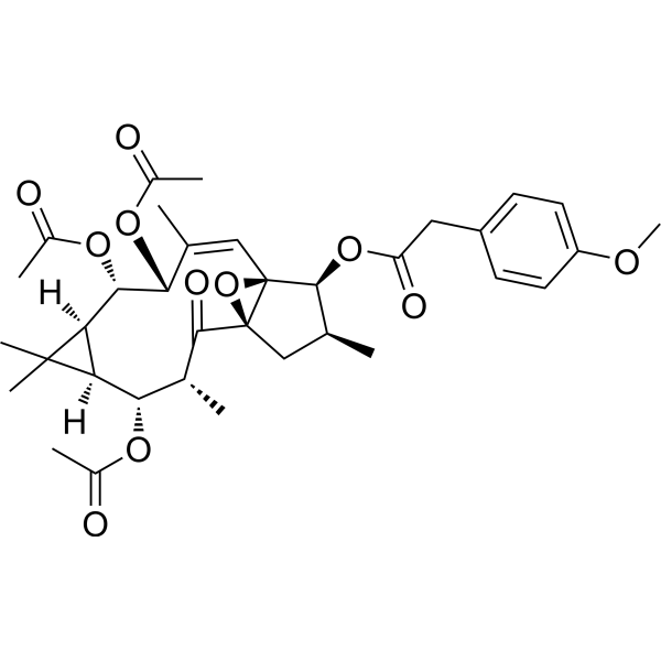 Ingol 7,8,12-triacetate 3-(4-methoxyphenyl)acetate图片