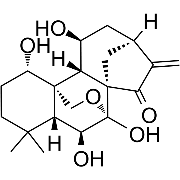 Lasiodonin图片