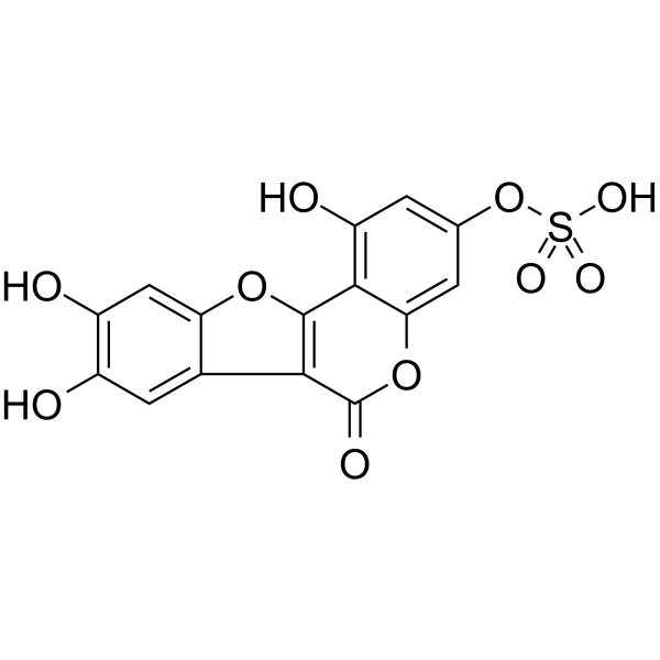 Demethylwedelolactone Sulfate图片