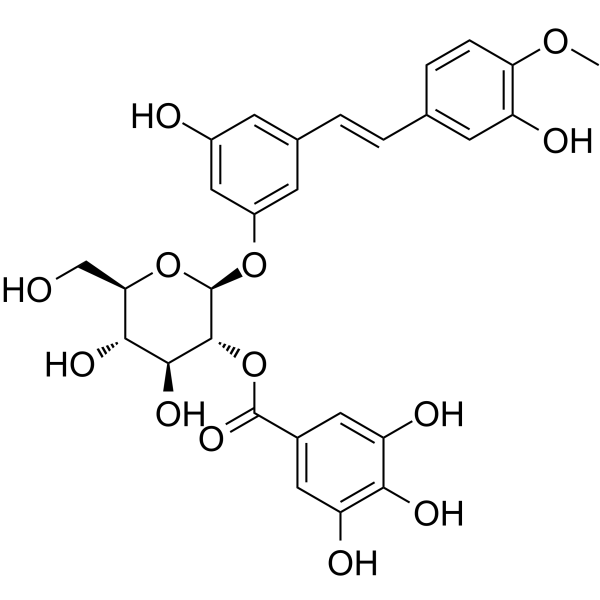 Rhaponticin 2′′-O-gallate图片