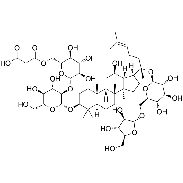 Malonylginsenoside Rc图片
