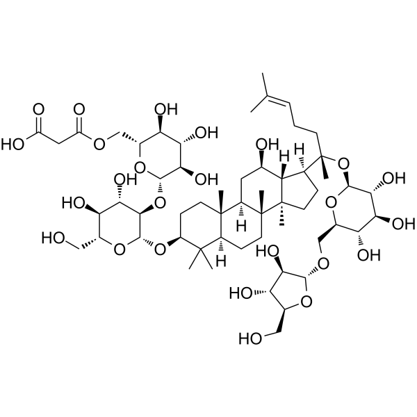 Malonylginsenoside RcͼƬ