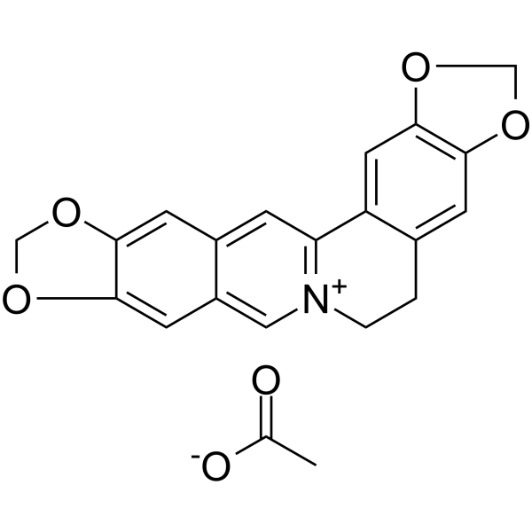 Pseudocoptisine acetate图片