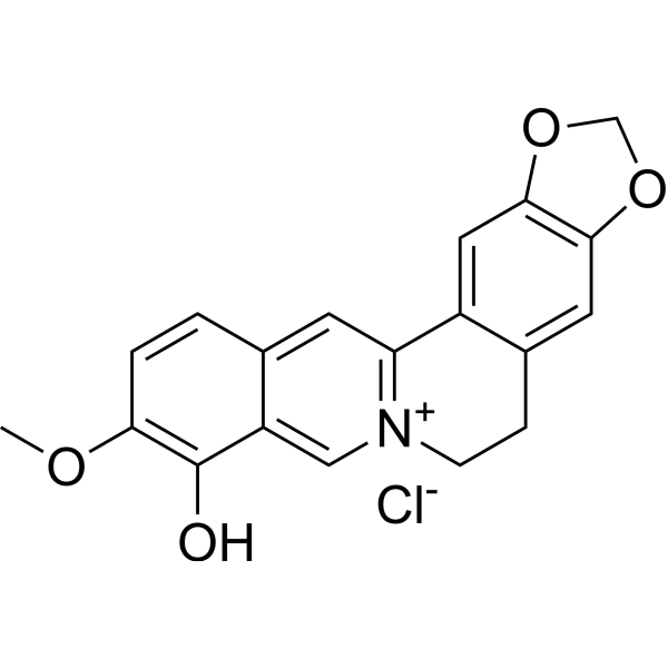 Berberrubine chloride图片