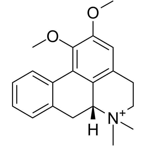 N-Methylnuciferine图片