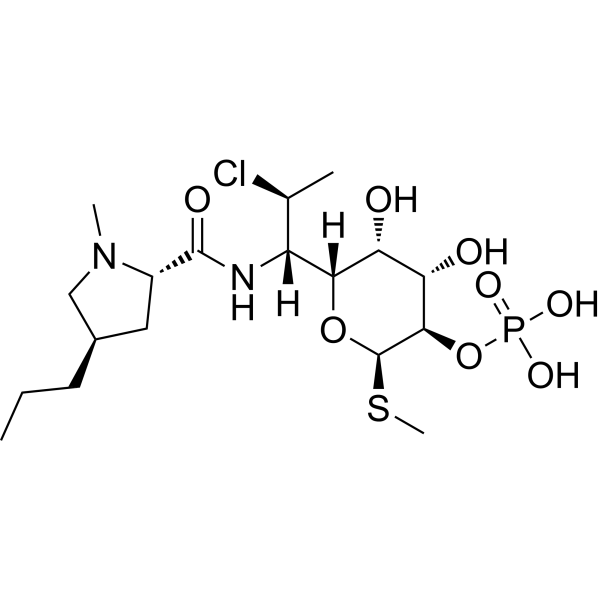Clindamycin Phosphate图片