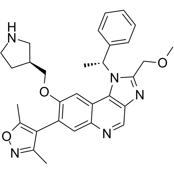 GSK778图片