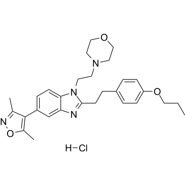 PF-CBP1 hydrochloride图片