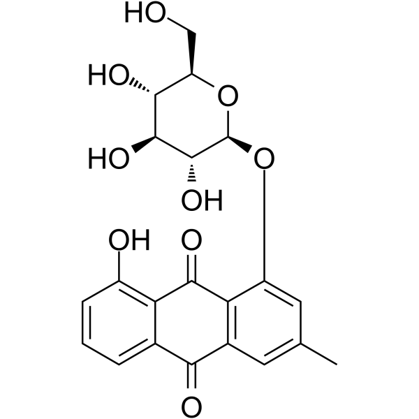 ChrysophaneinͼƬ