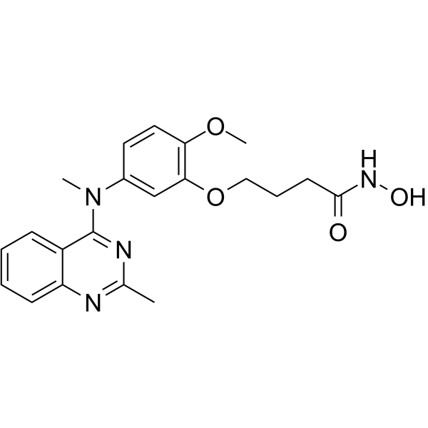 SKLB-23bbͼƬ